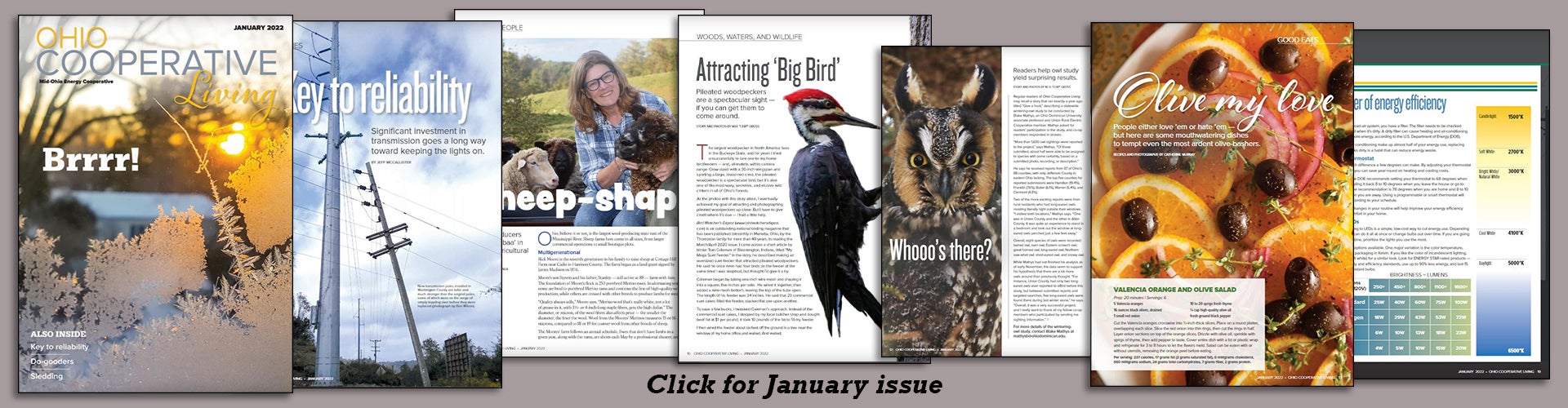 Check out the January issue of Ohio Cooperative Living