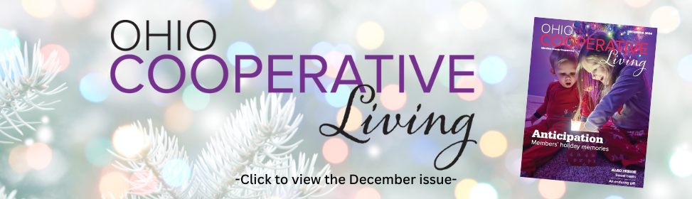 View the December issue!